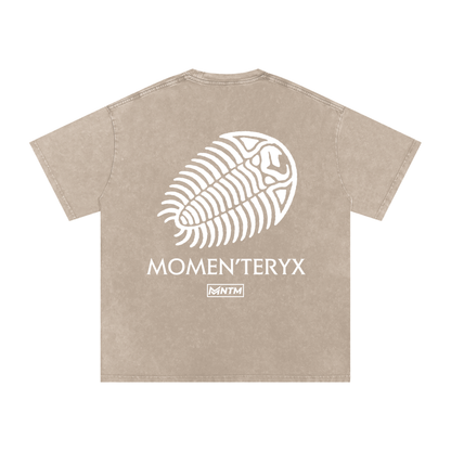 Momen'teryx
