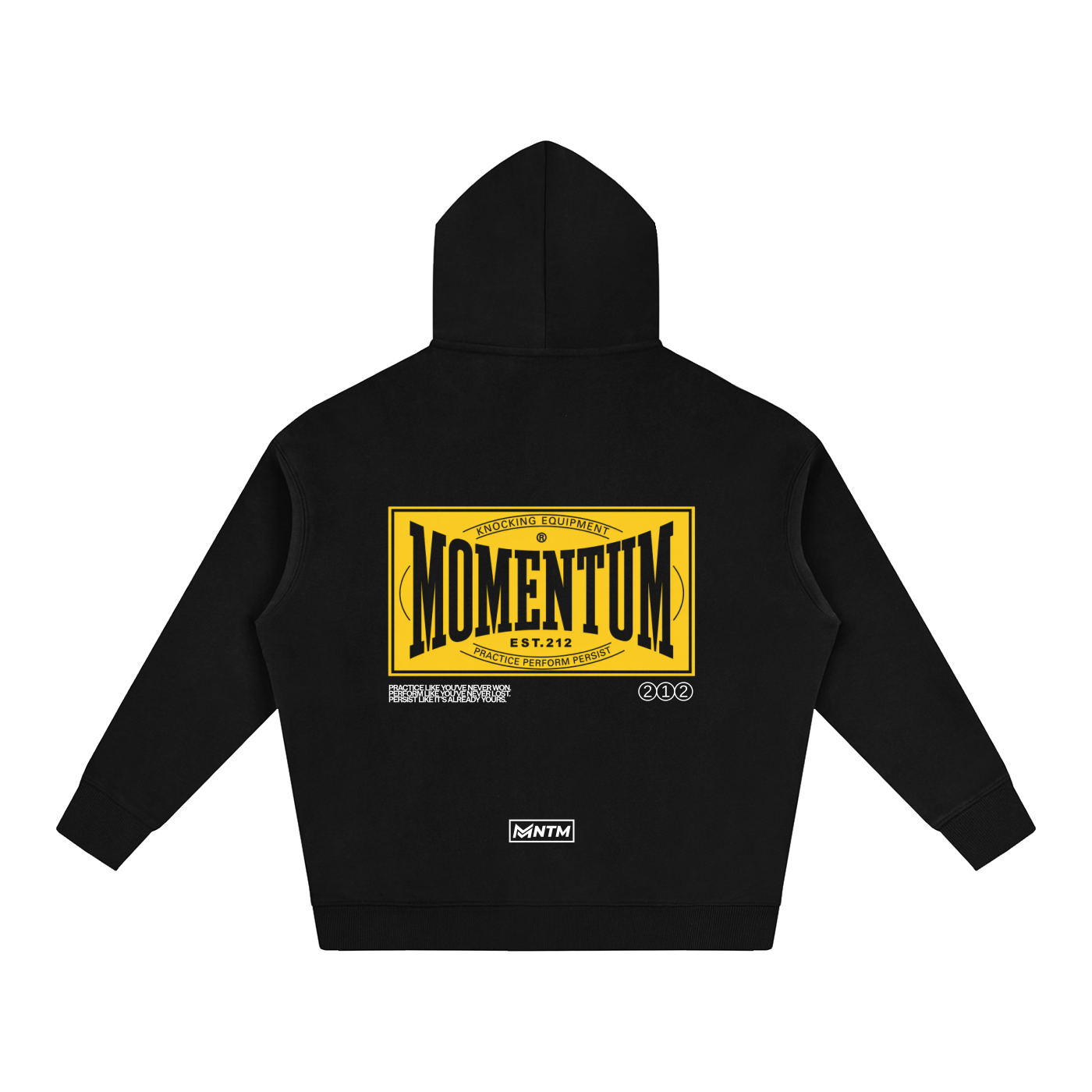 Momentum Training