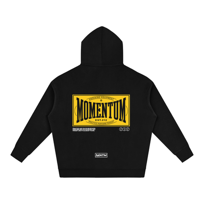 Momentum Training