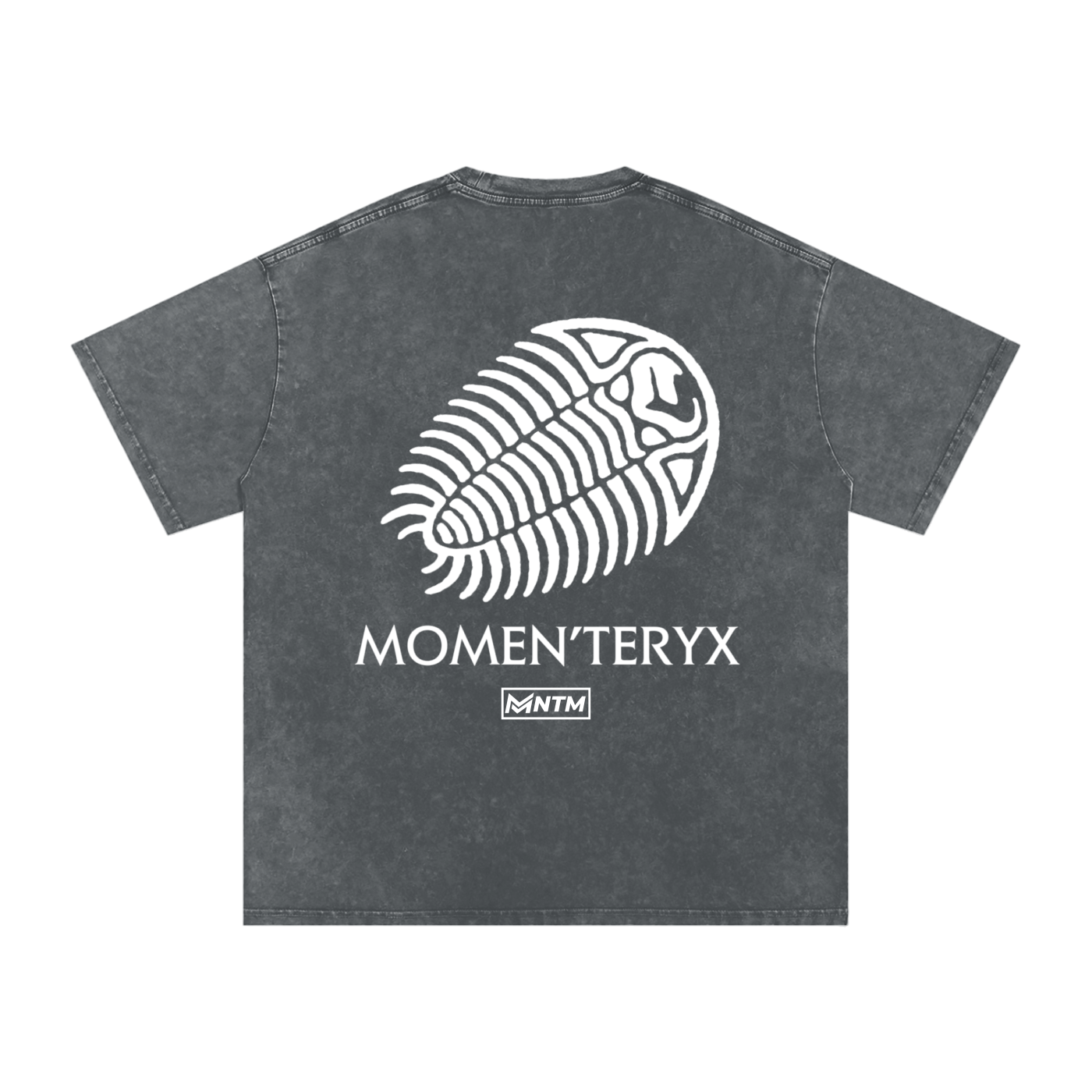 Momen'teryx