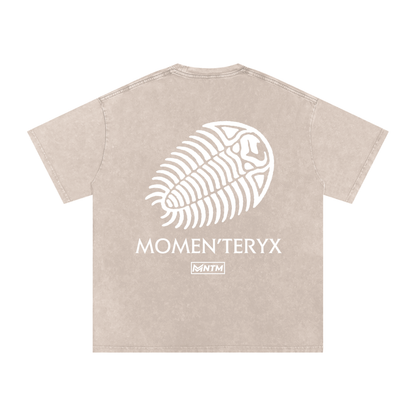 Momen'teryx