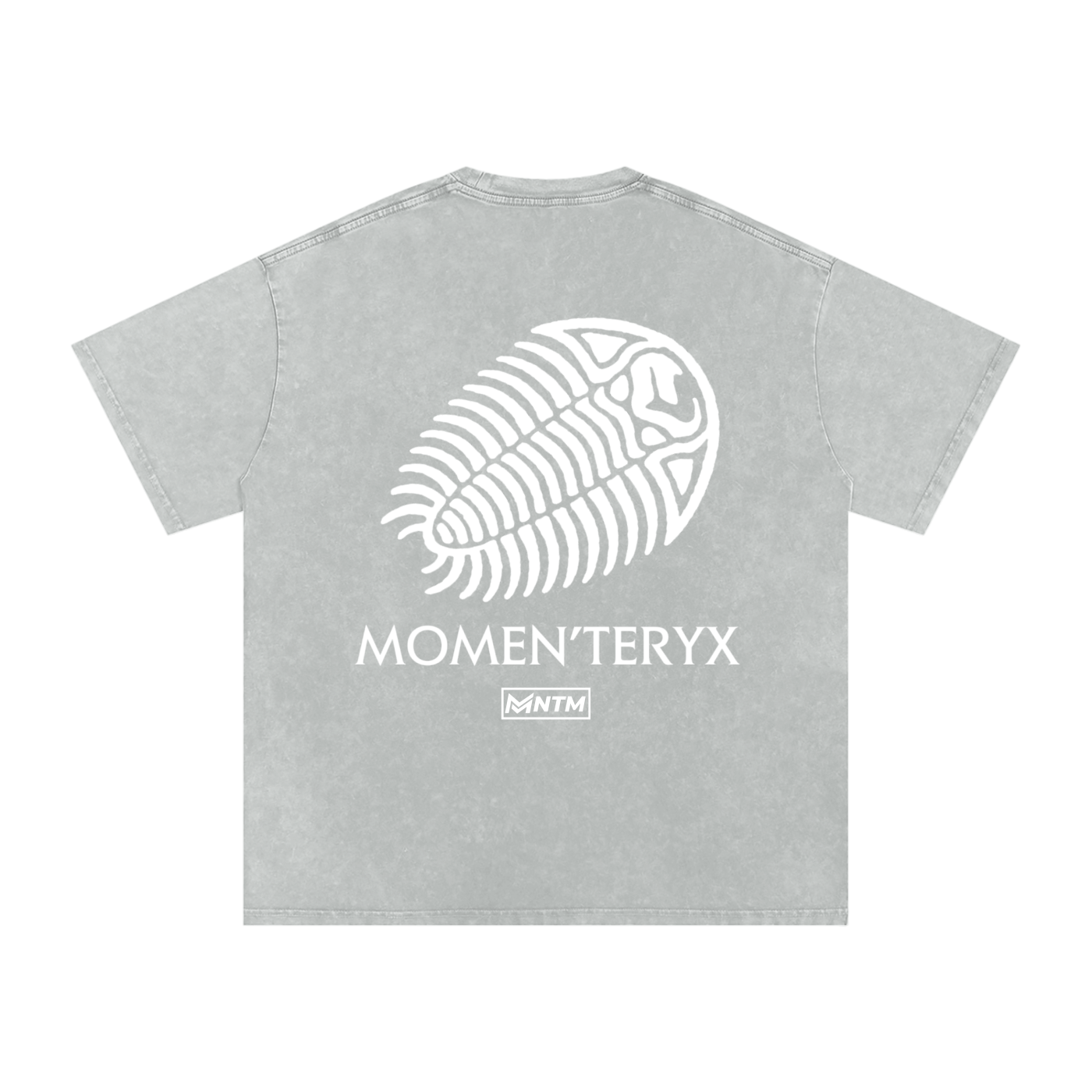 Momen'teryx