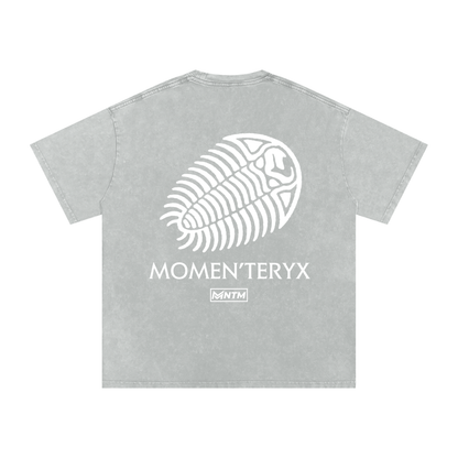 Momen'teryx