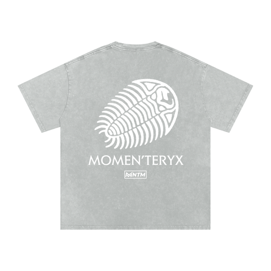 Momen'teryx